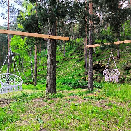 Vila Pogled Wellness I Spa Divčibare Exteriör bild