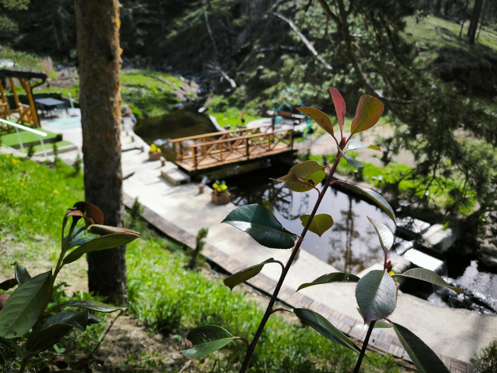 Vila Pogled Wellness I Spa Divčibare Exteriör bild